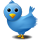 Twitter Bird
